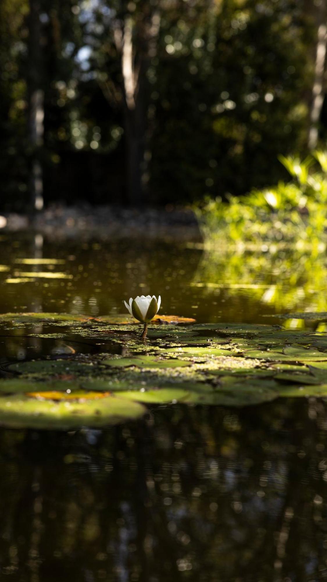 Hotel Rural Finca Vivaldi Nature & Spa San Miguel de Las Duenas Zewnętrze zdjęcie