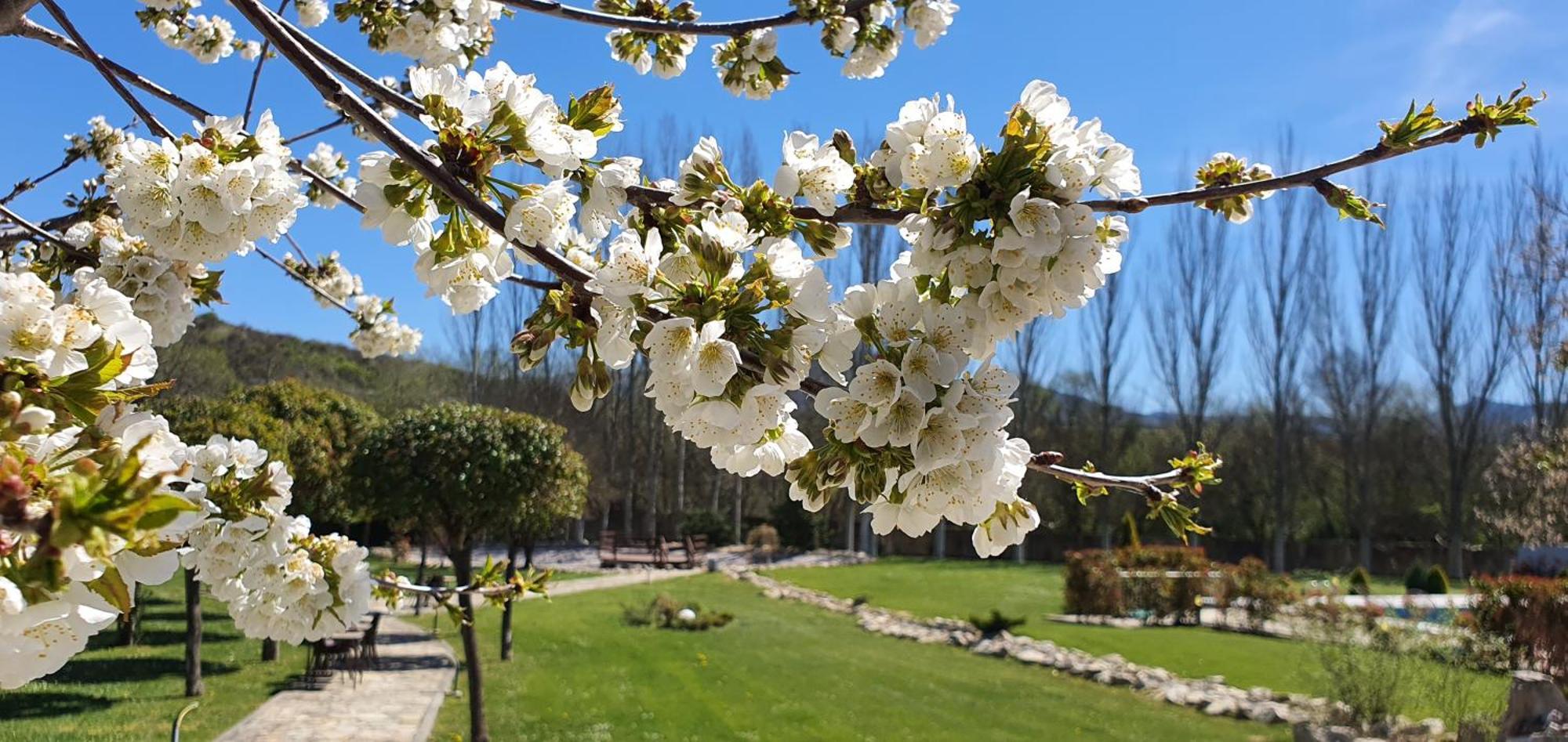 Hotel Rural Finca Vivaldi Nature & Spa San Miguel de Las Duenas Zewnętrze zdjęcie